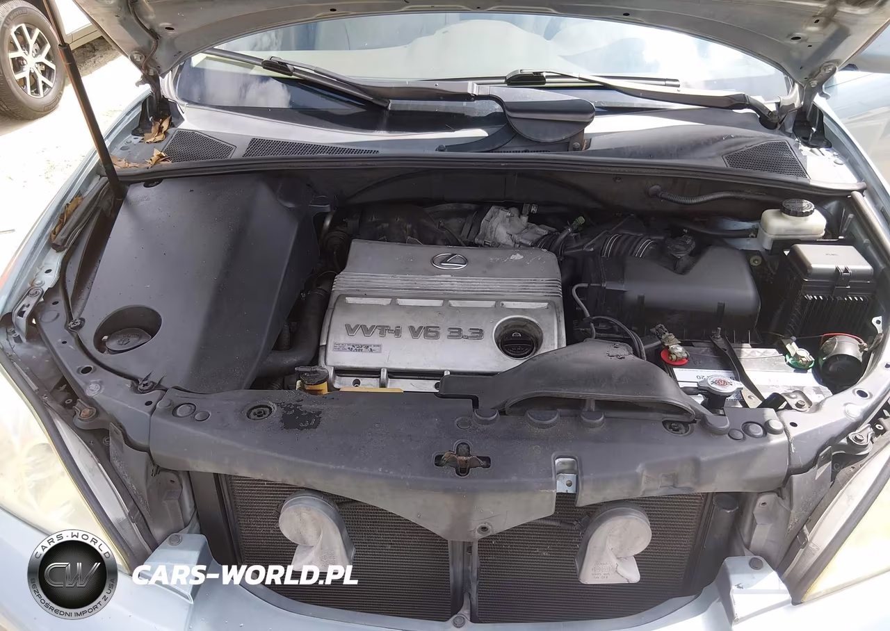 2005 Lexus Rx 330 VIN:2T2GA31U35C041679 - 10