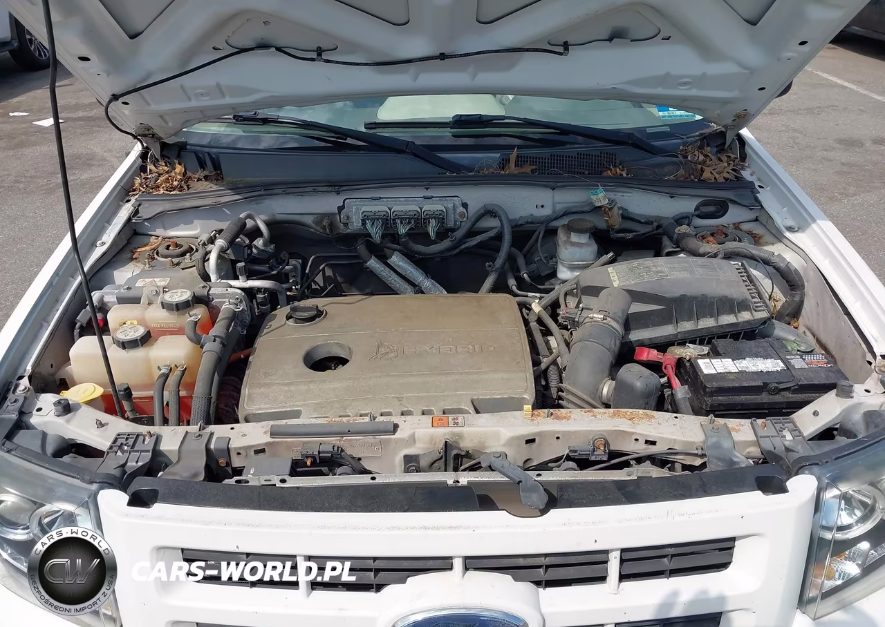 2009 Ford Escape Hybrid Limited VIN:1FMCU59359KC38287 - 10