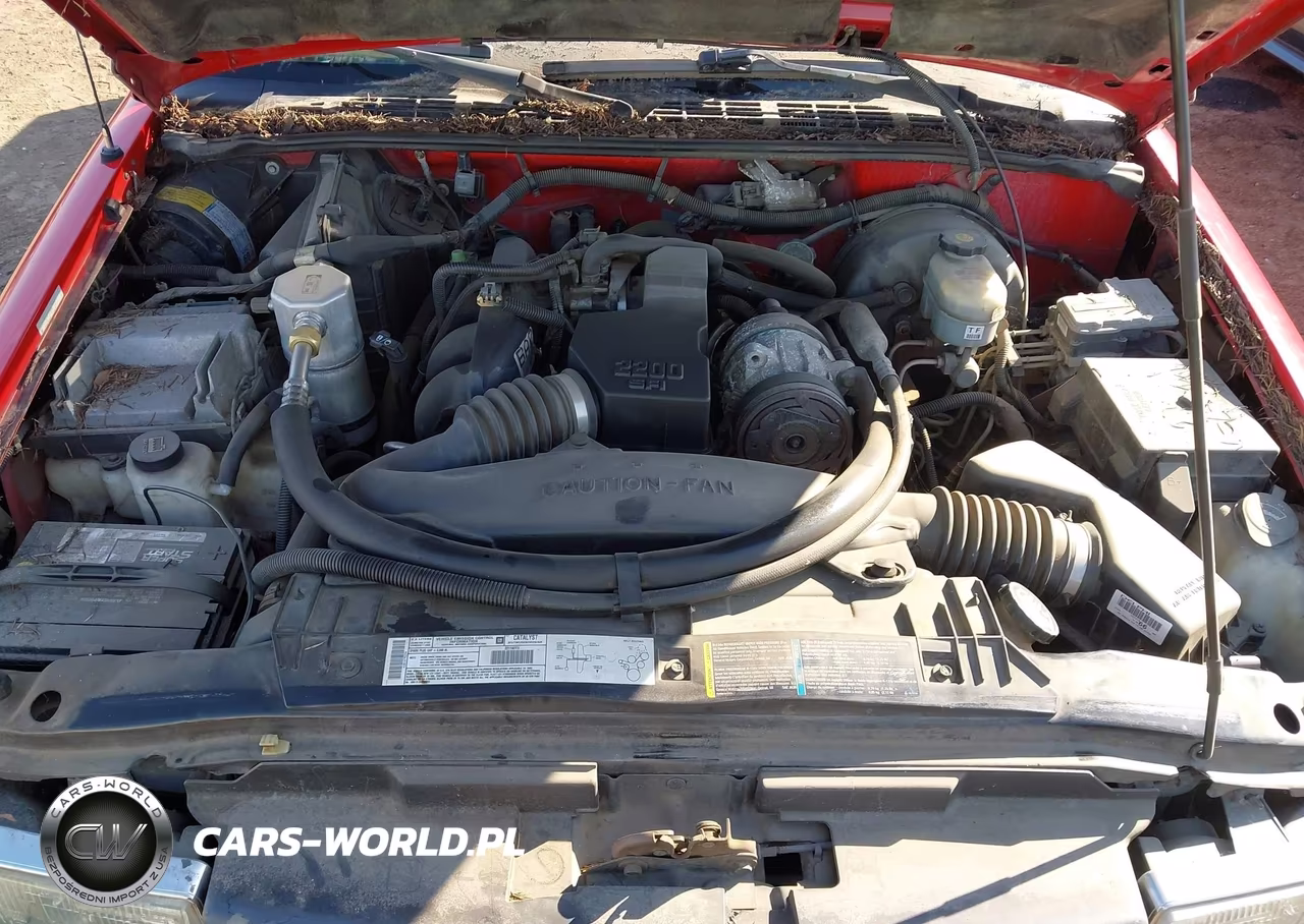 2002 Chevrolet S-10 VIN:1GCCS195128167533 - 10