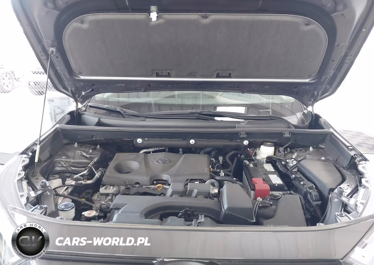 2024 Toyota Rav4 Xle VIN:2T3W1RFV4RW347600 - 10
