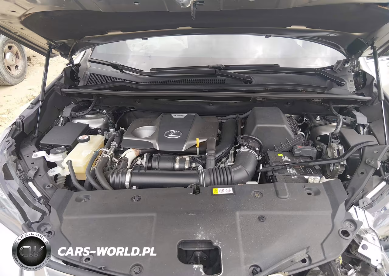 2021 Lexus Nx Nx 300 F Sport VIN:JTJSARBZ2M2185634 - 10