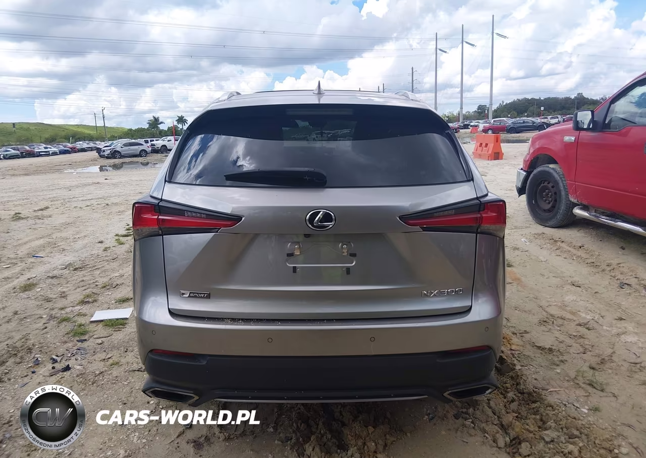 2021 Lexus Nx Nx 300 F Sport VIN:JTJSARBZ2M2185634 - 16