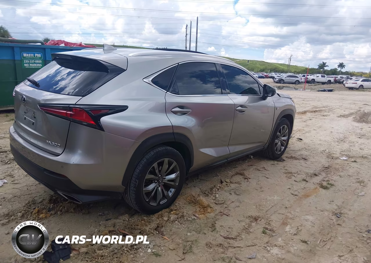 2021 Lexus Nx Nx 300 F Sport VIN:JTJSARBZ2M2185634 - 4