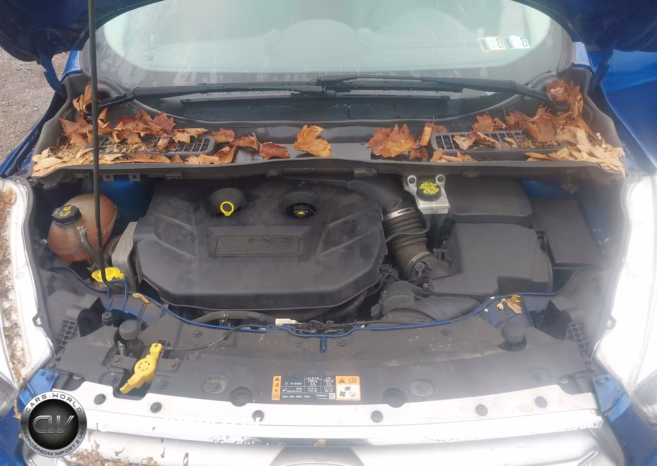 2017 Ford Escape Se VIN:1FMCU9G97HUB57275 - 10