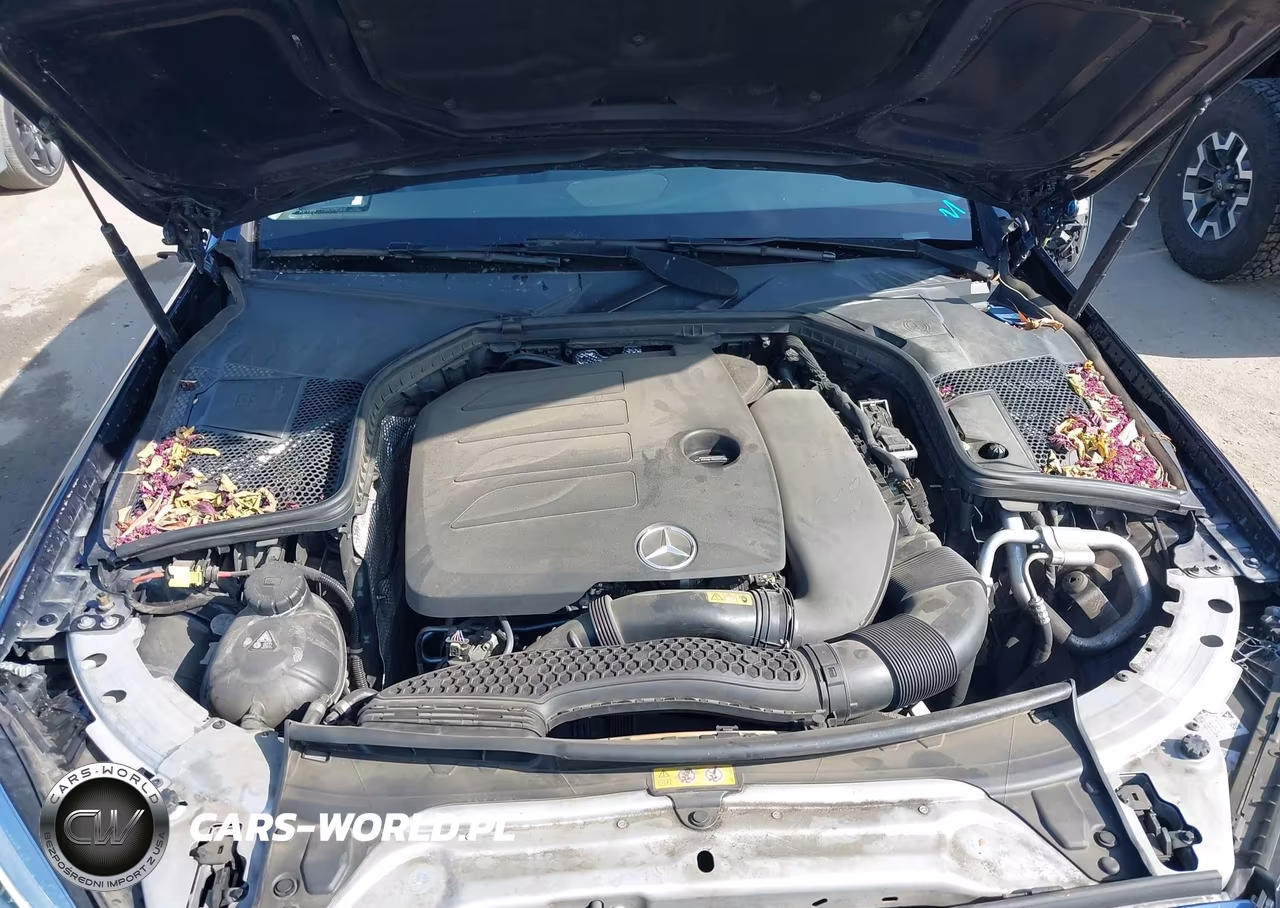 2019 Mercedes-Benz C 300 VIN:WDDWF8DB8KR502620 - 10