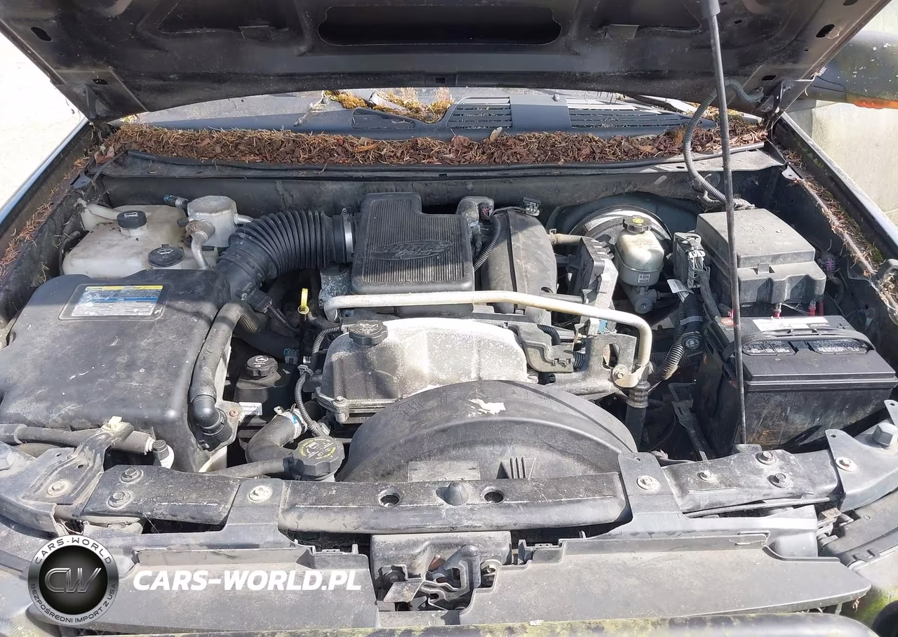 2006 Chevrolet Trailblazer Ls VIN:1GNDT13S862262798 - 10