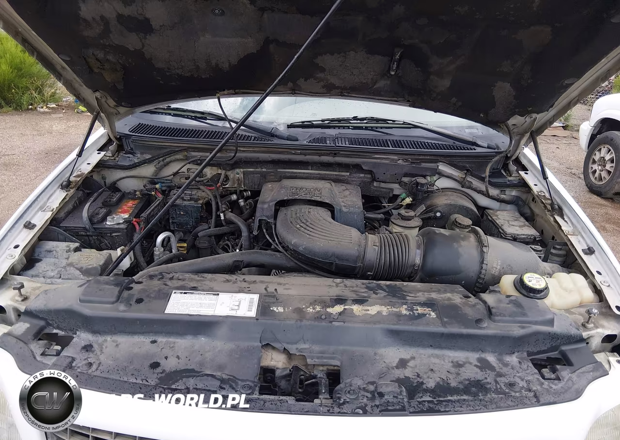 2001 Ford Expedition Eddie Bauer VIN:1FMEU17L01LA80640 - 10