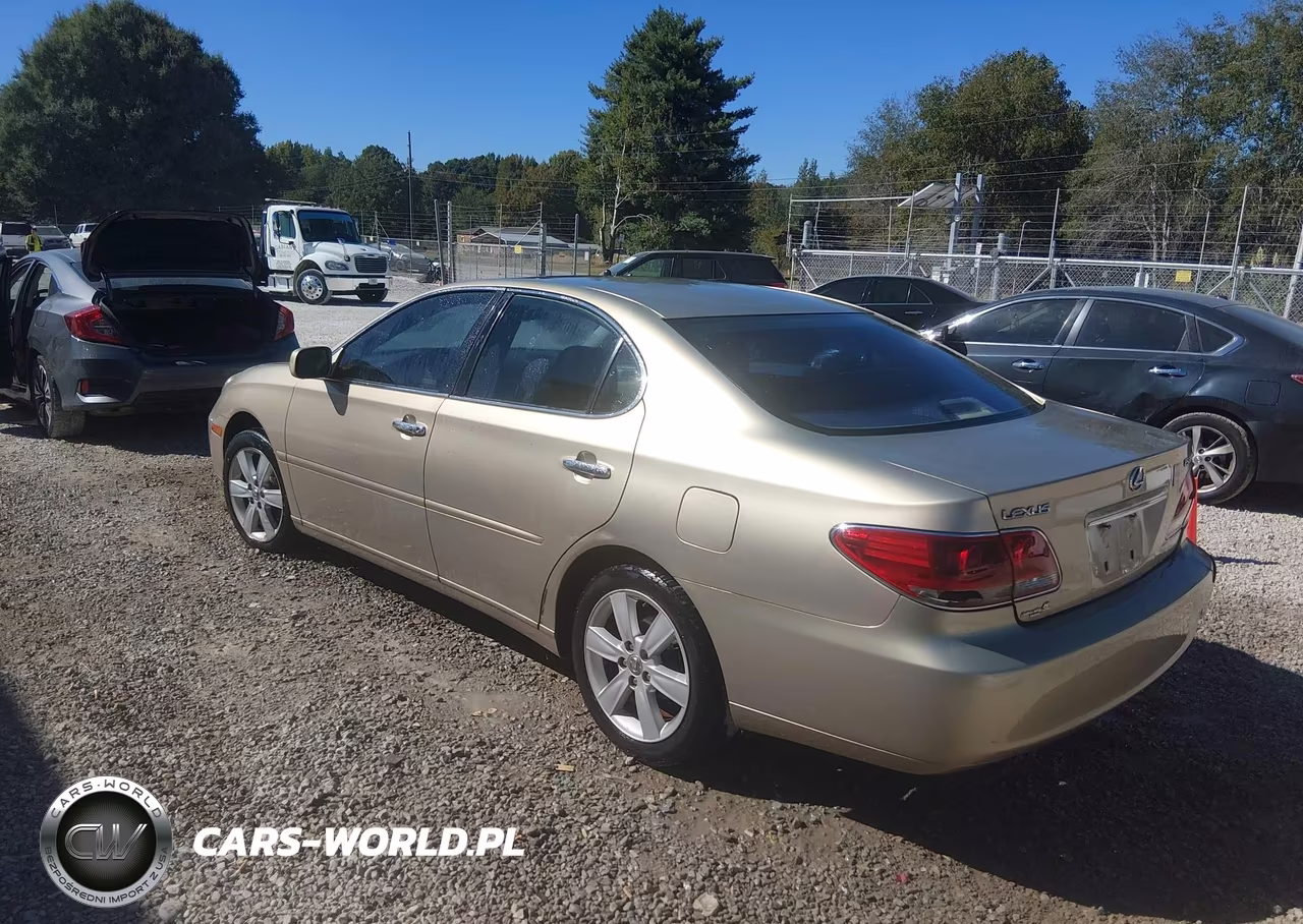 2005 Lexus Es 330 VIN:JTHBA30G255119164 - 3