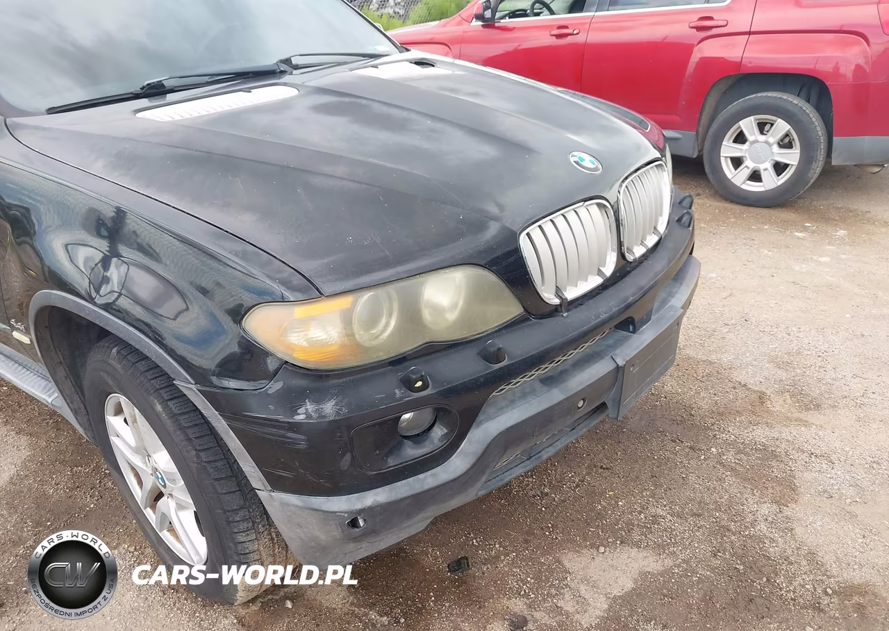 2006 BMW X5 4.4I VIN:5UXFB53586LV23569 - 6