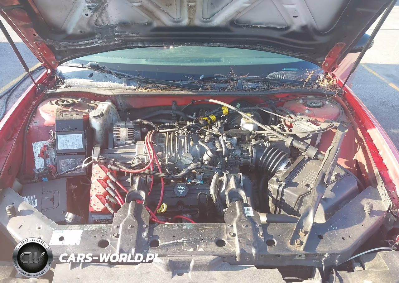 2004 Chevrolet Monte Carlo Supercharged Ss VIN:2G1WZ121349381794 - 10