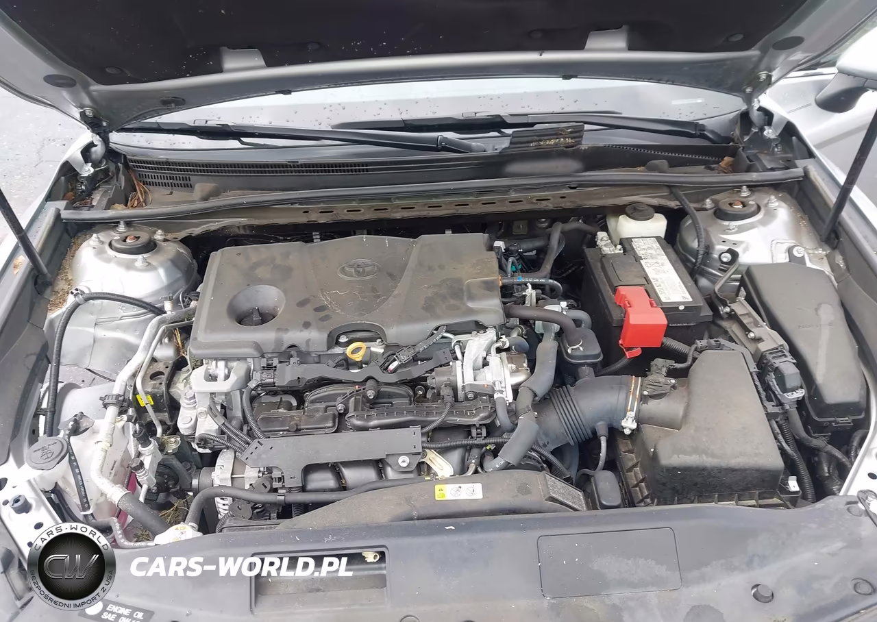 2020 Toyota Camry Le VIN:4T1C11AKXLU986839 - 10
