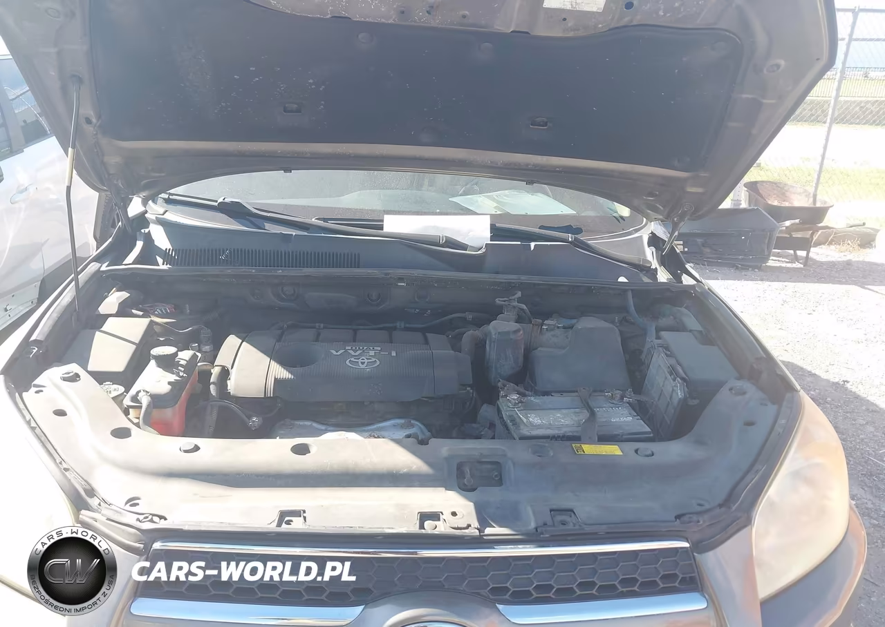 2009 Toyota Rav4 Limited VIN:JTMBF31V595006542 - 10