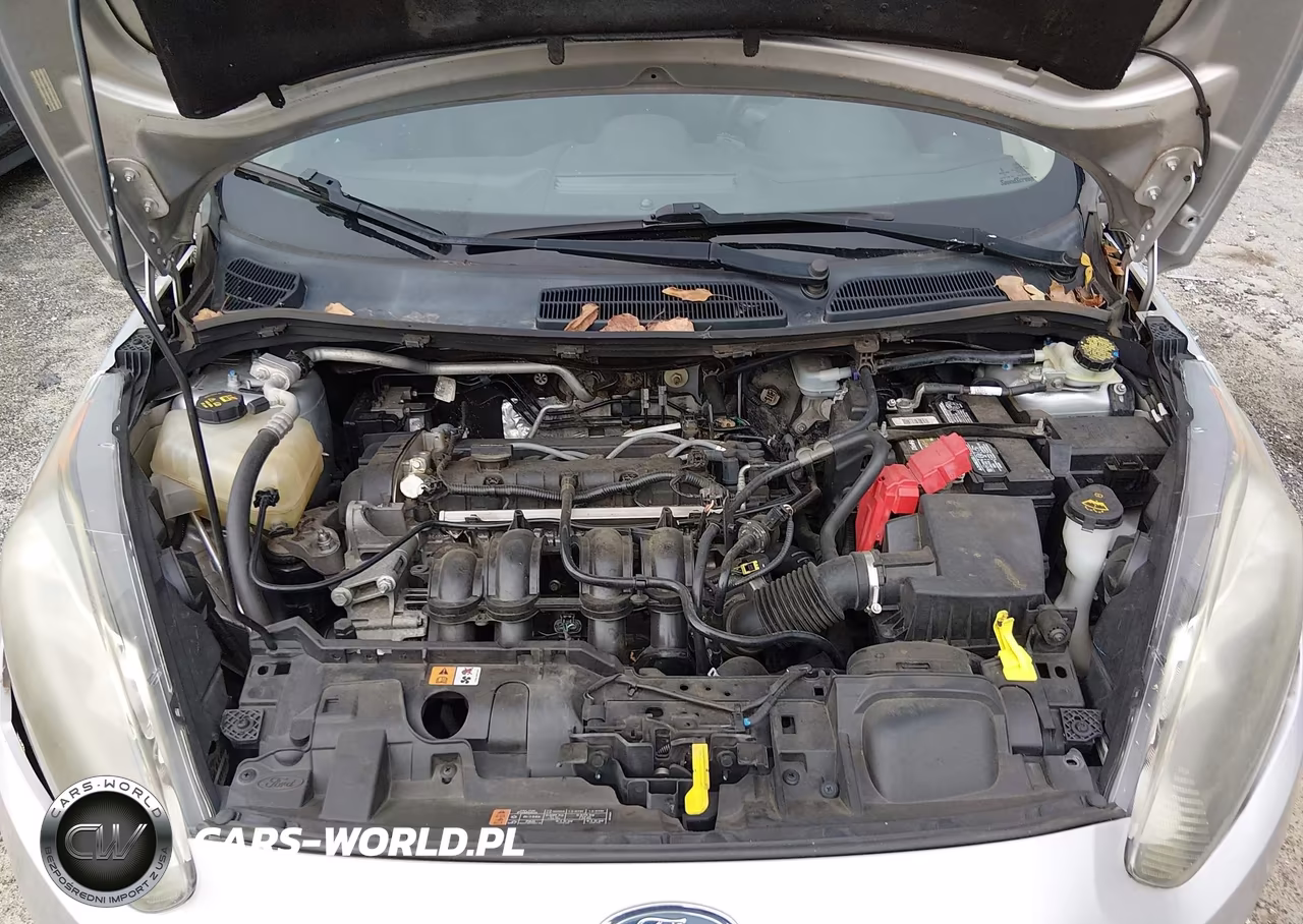 2016 Ford Fiesta Se VIN:3FADP4EJXGM153634 - 10