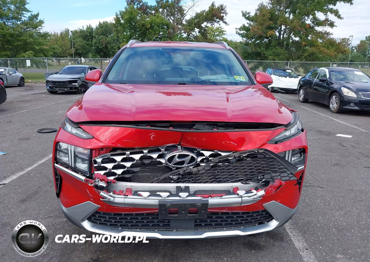 2021 Hyundai Santa Fe Sel VIN:5NMS2DAJXMH352347 - 12
