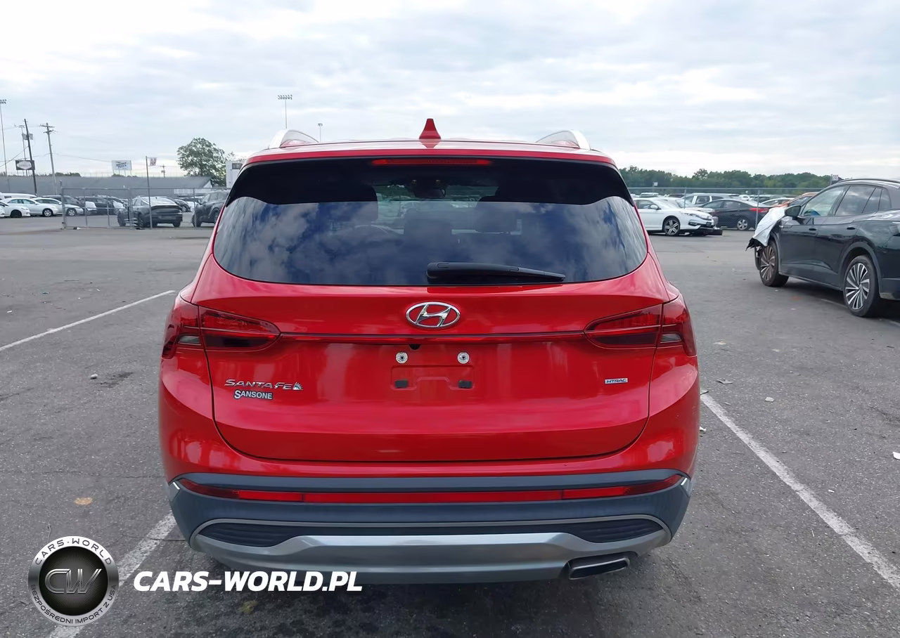 2021 Hyundai Santa Fe Sel VIN:5NMS2DAJXMH352347 - 16