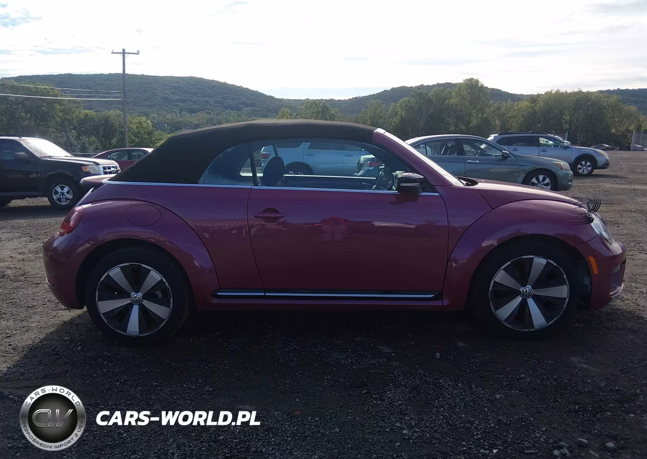 2017 Volkswagen Beetle #Pinkbeetle-1.8T Classic-1.8T S-1.8T Se-1.8T Sel VIN:3VW517AT6HM801574 - 13