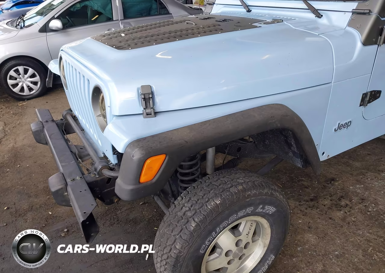 1997 Jeep Wrangler Se VIN:1J4FY29P8VP420130 - 6