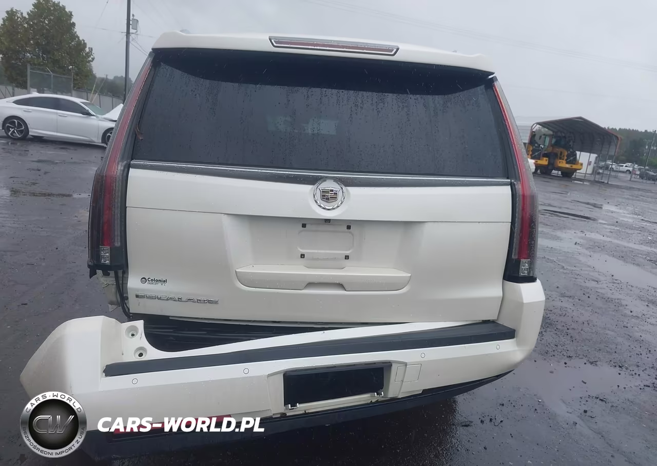 2015 Cadillac Escalade Esv Luxury VIN:1GYS4HKJ6FR298926 - 16