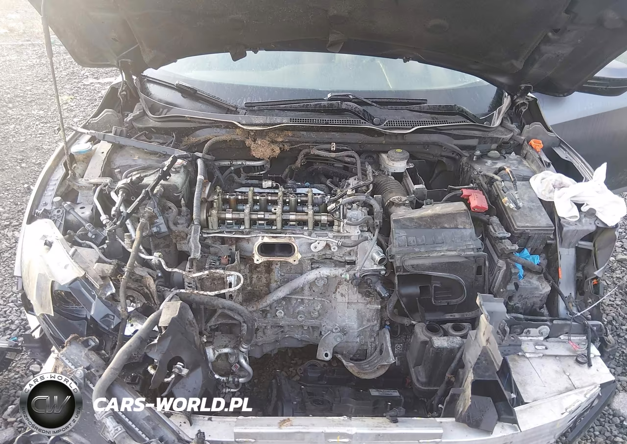 2019 Honda Civic Lx VIN:2HGFC2F61KH590251 - 10