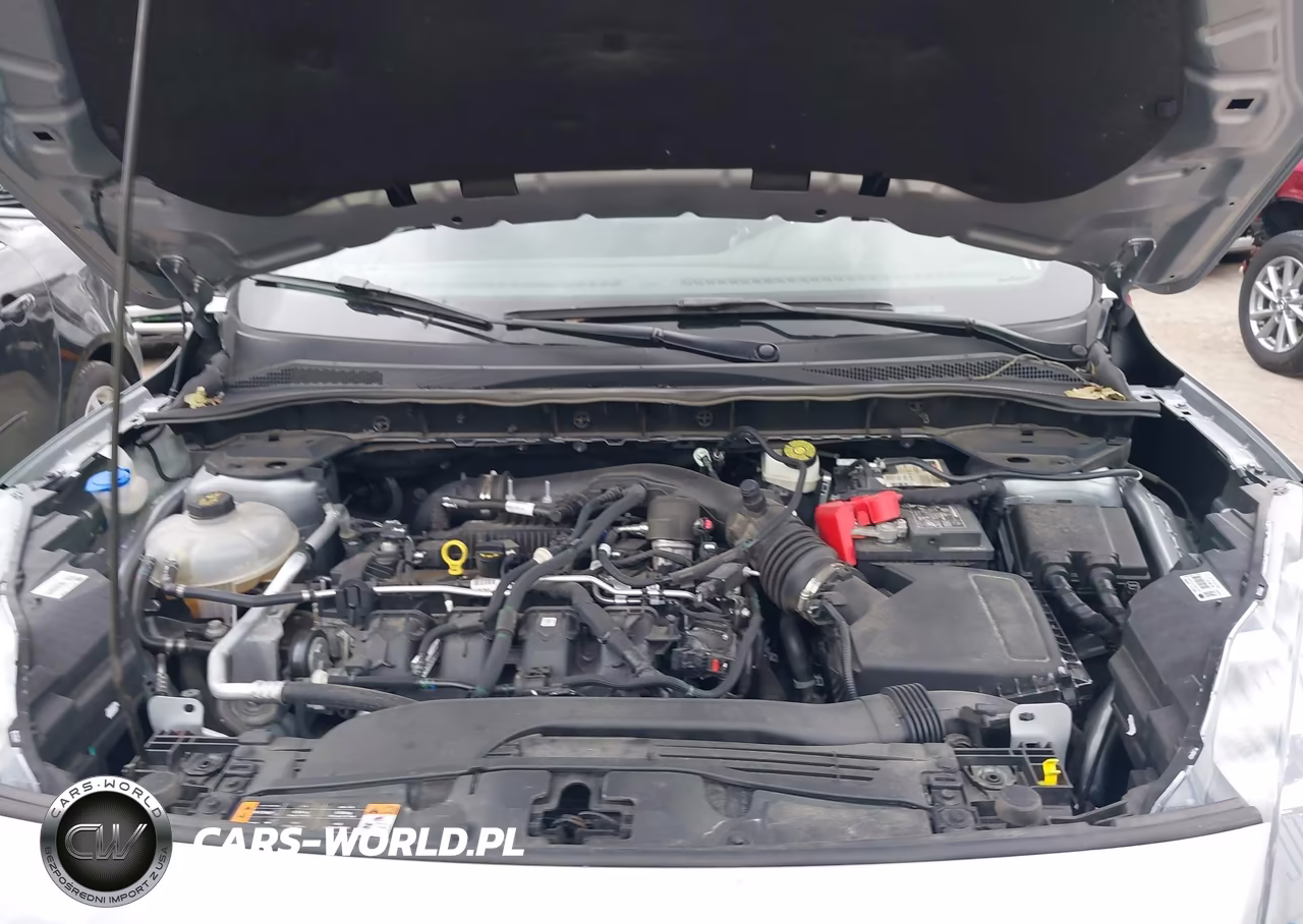 2022 Ford Escape Titanium VIN:1FMCU9J94NUC00104 - 10