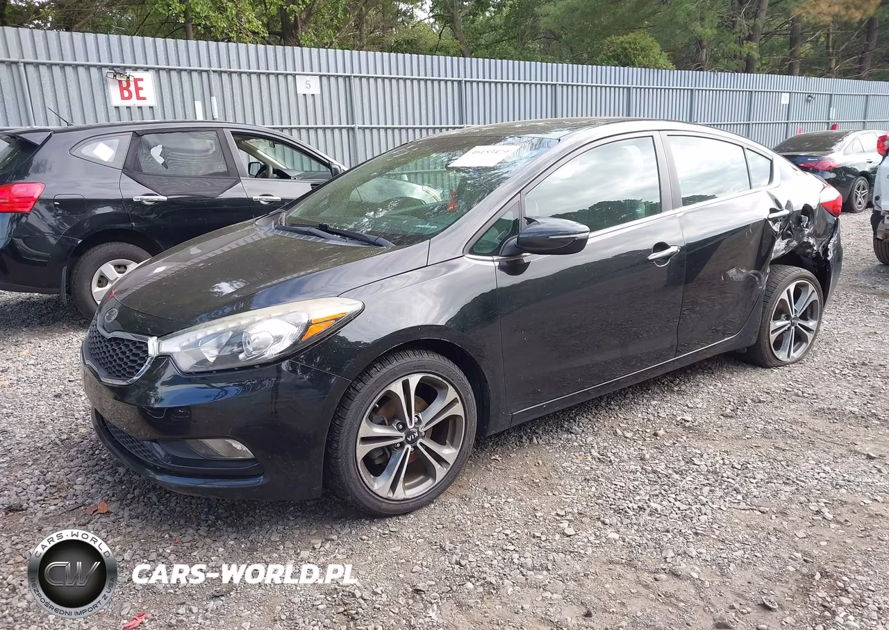 2014 Kia Forte Ex VIN:KNAFZ4A85E5069396 - 2