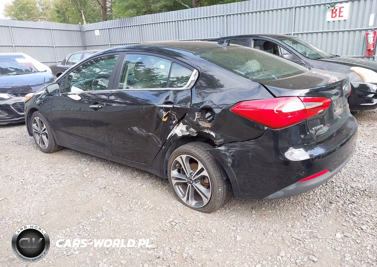 2014 Kia Forte Ex VIN:KNAFZ4A85E5069396 - 3