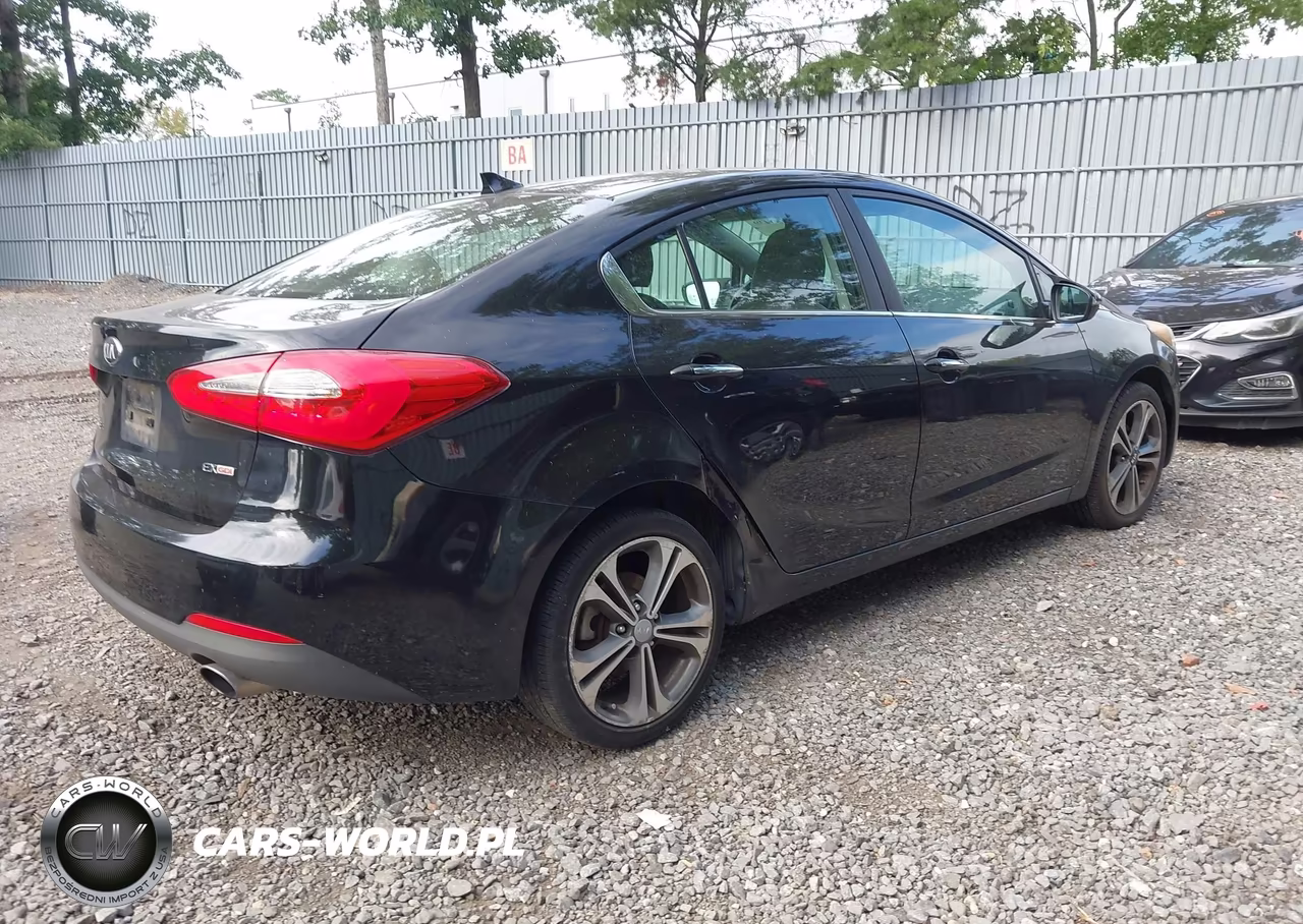 2014 Kia Forte Ex VIN:KNAFZ4A85E5069396 - 4