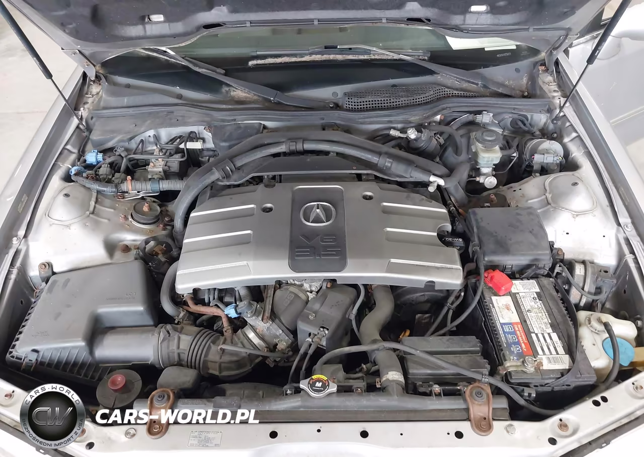 2004 Acura Rl 3.5 VIN:JH4KA96684C002507 - 10