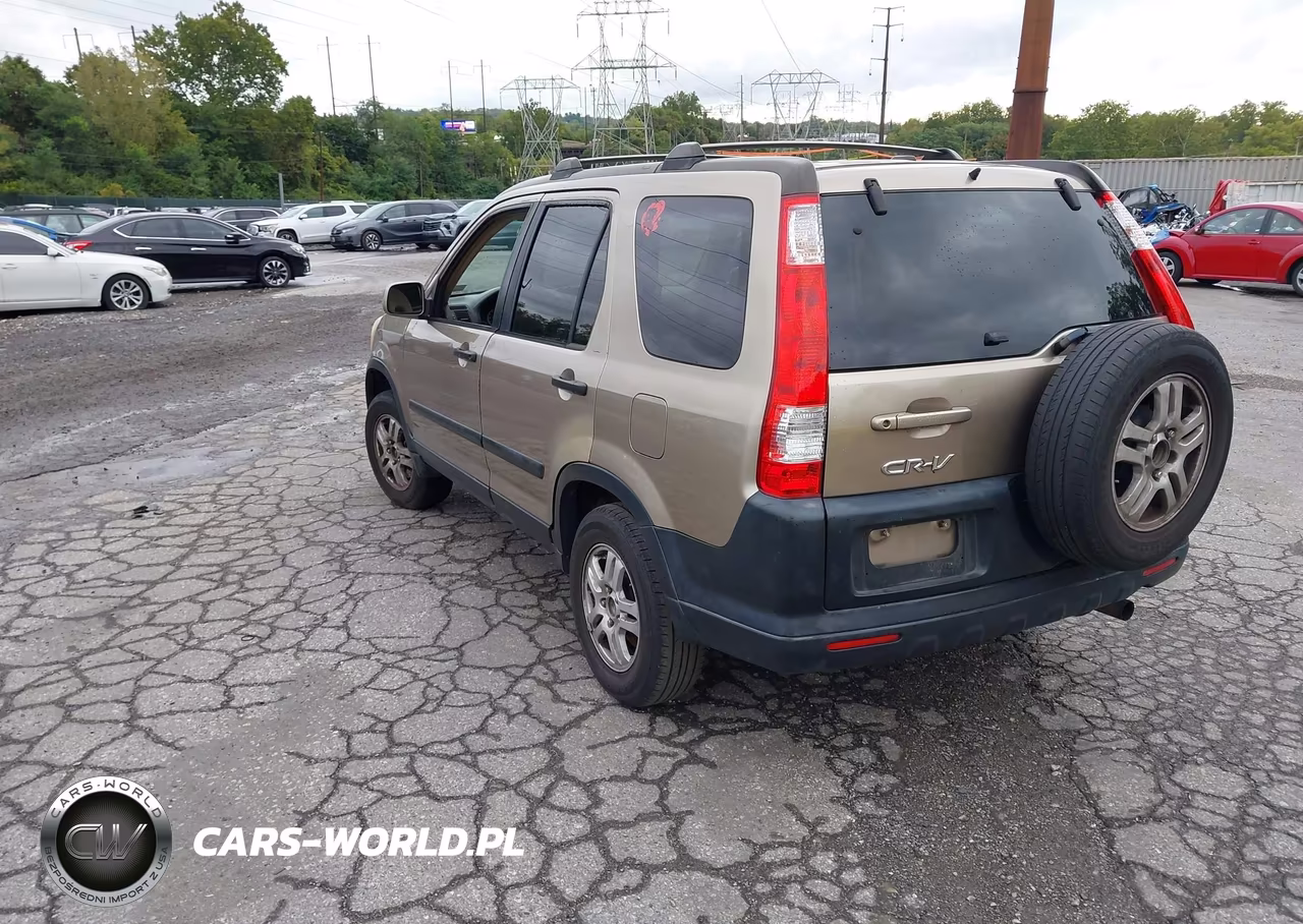 2006 Honda Cr-V Ex VIN:SHSRD78836U416769 - 3