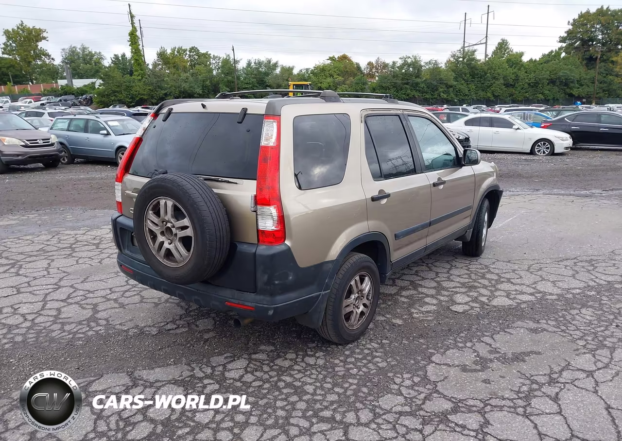 2006 Honda Cr-V Ex VIN:SHSRD78836U416769 - 4