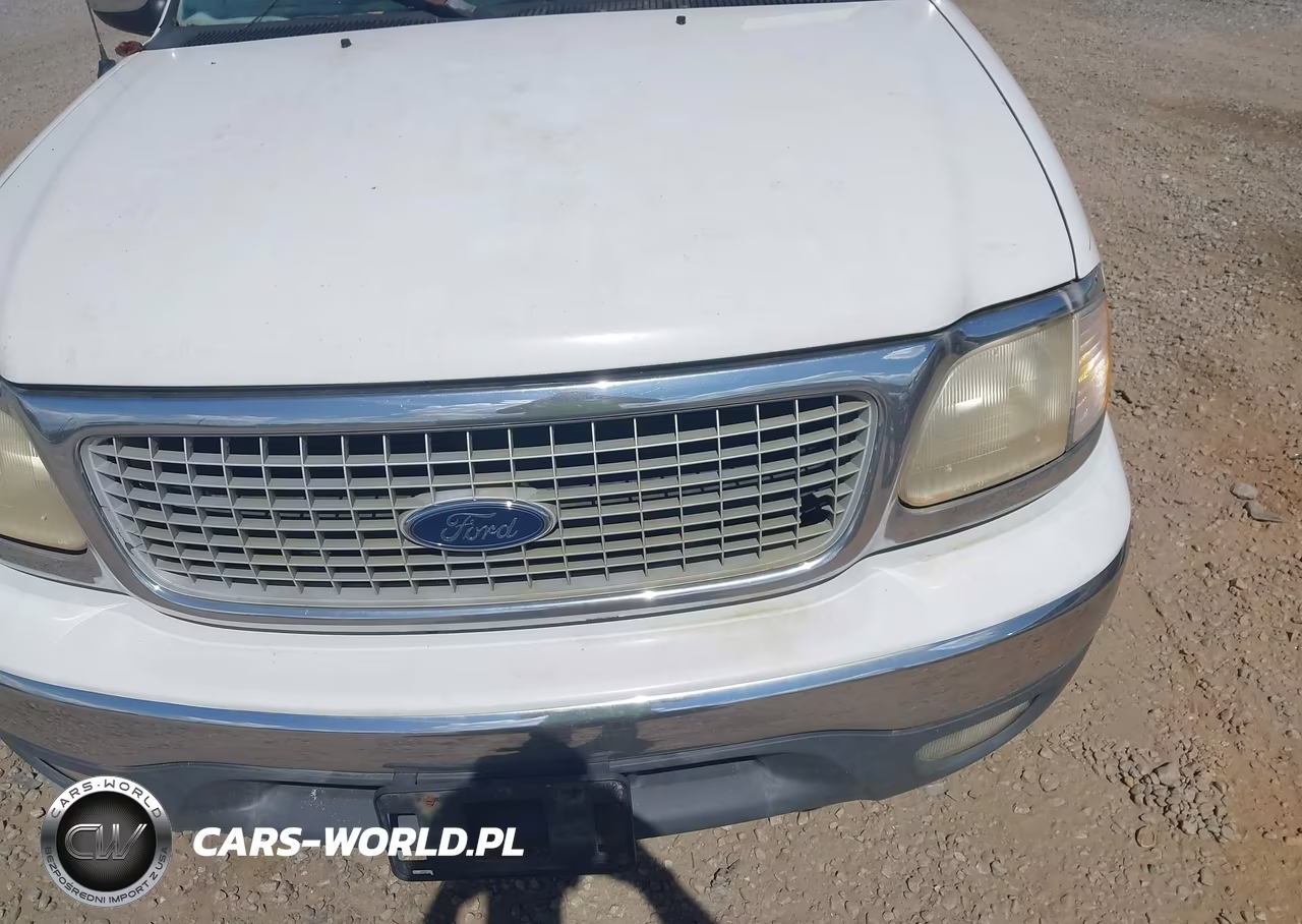 1999 Ford Expedition Eddie Bauer-Xlt VIN:1FMPU18L2XLA21069 - 6