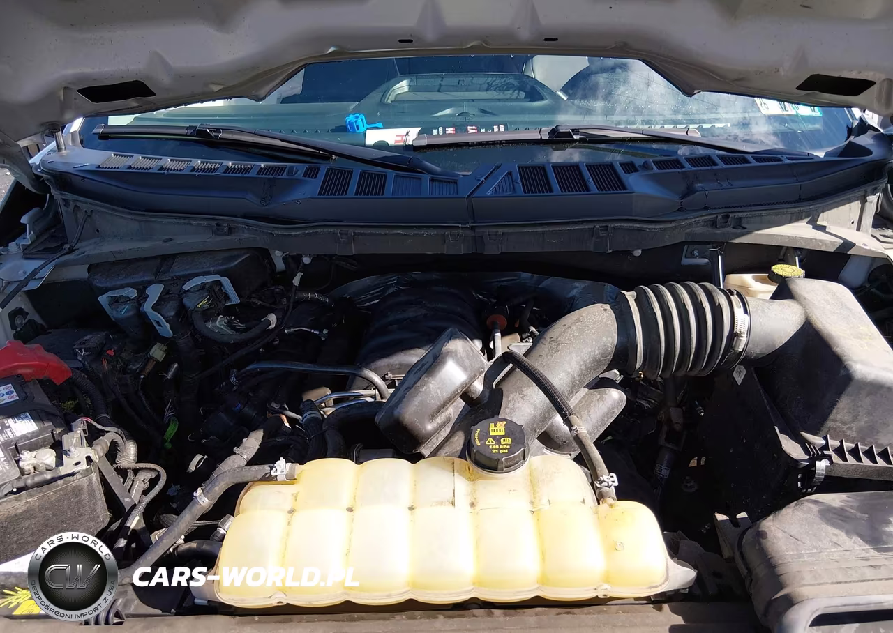 2024 Ford F-150 Xl VIN:1FTFW1L54RKD84713 - 10