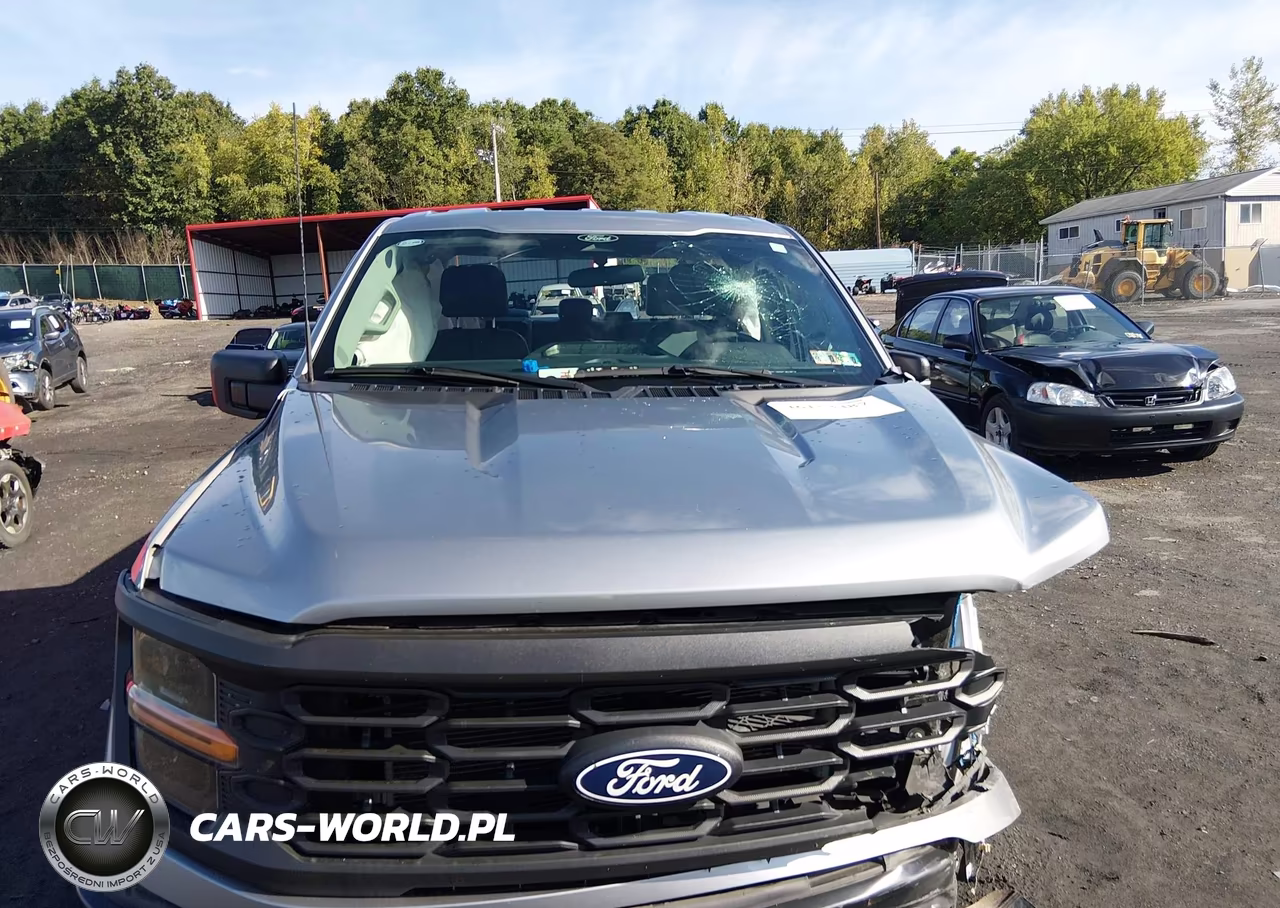 2024 Ford F-150 Xl VIN:1FTFW1L54RKD84713 - 12