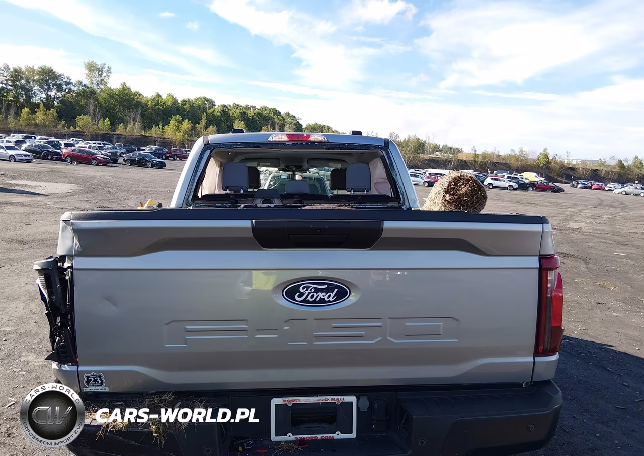 2024 Ford F-150 Xl VIN:1FTFW1L54RKD84713 - 16