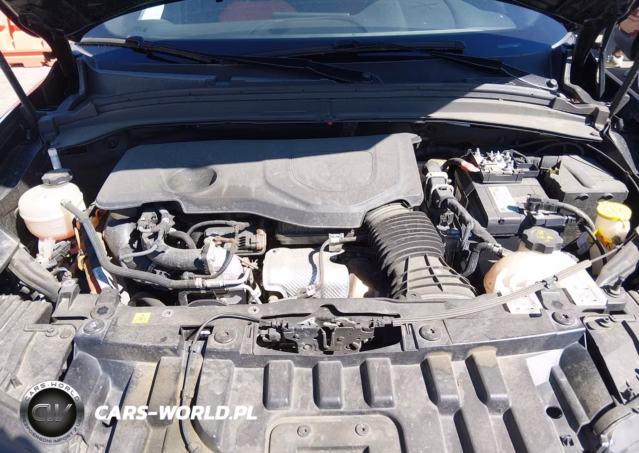 2024 Dodge Hornet R-T Plus Eawd VIN:ZACPDFDW8R3A12559 - 10