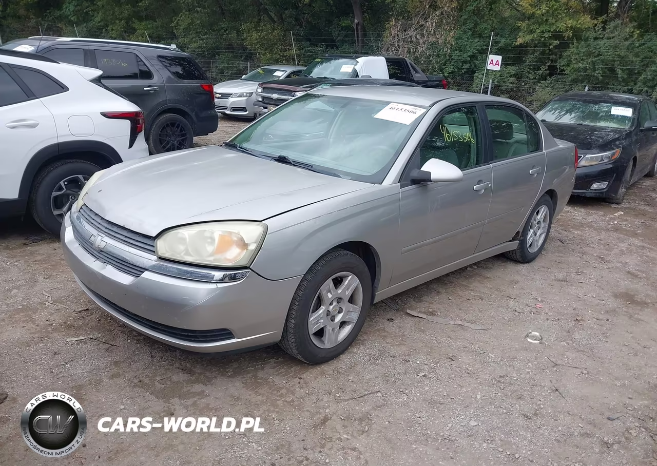 2008 Chevrolet Malibu Classic Lt VIN:1G1ZT58N98F110638 - 2