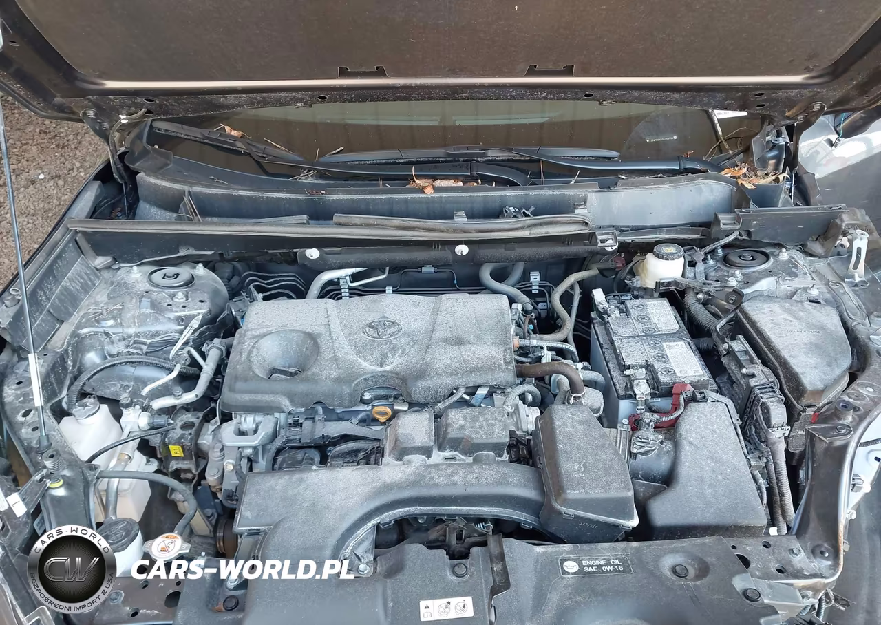 2025 Toyota Rav4 Xle VIN:2T3W1RFV8SC349583 - 10