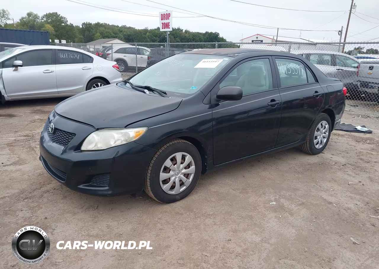 2009 Toyota Corolla VIN:2T1BU40E69C135597 - 2