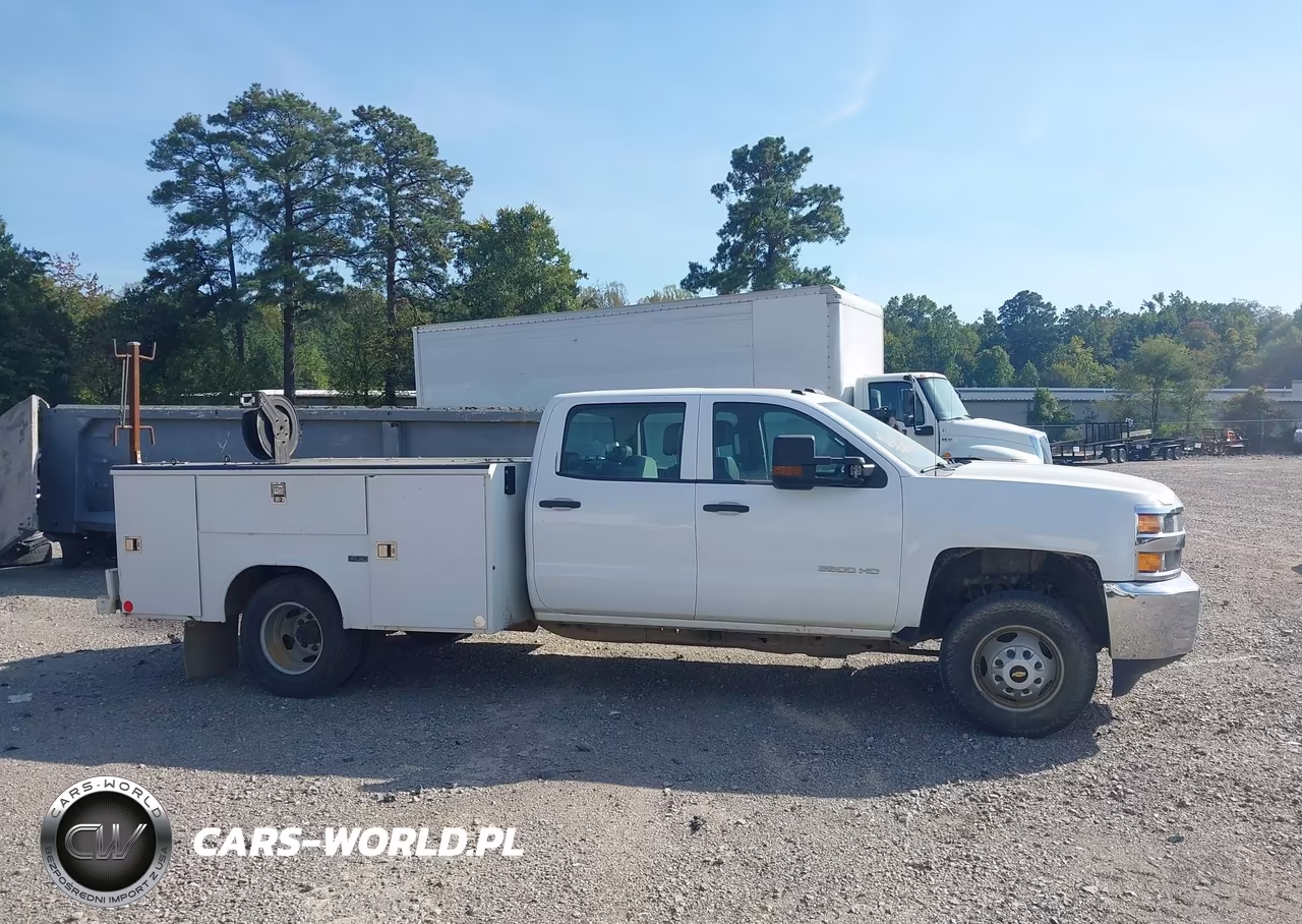 2018 Chevrolet Silverado 3500Hd Chassis Wt VIN:1GB4CYCG8JF214219 - 13