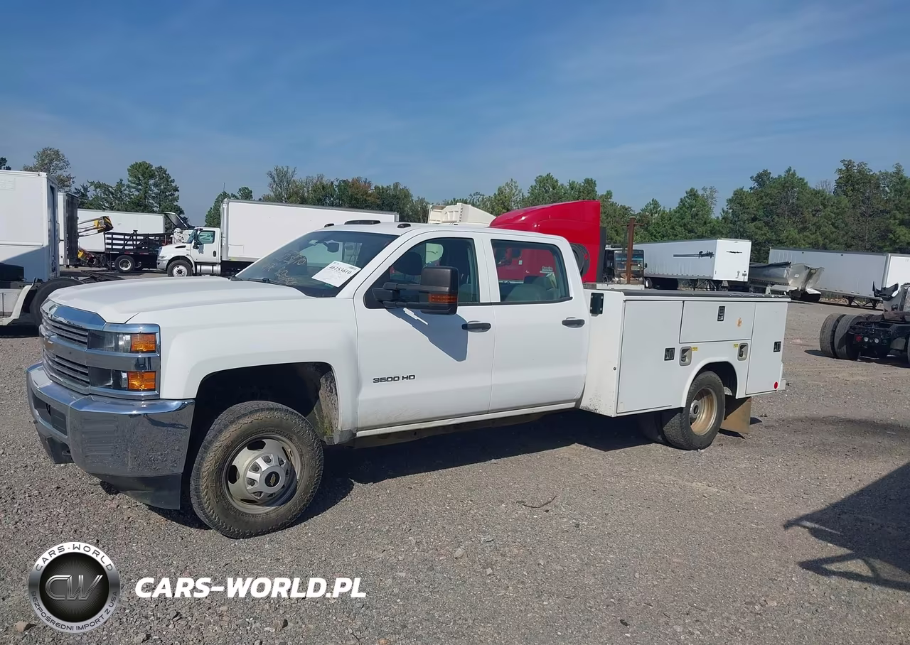 2018 Chevrolet Silverado 3500Hd Chassis Wt VIN:1GB4CYCG8JF214219 - 14