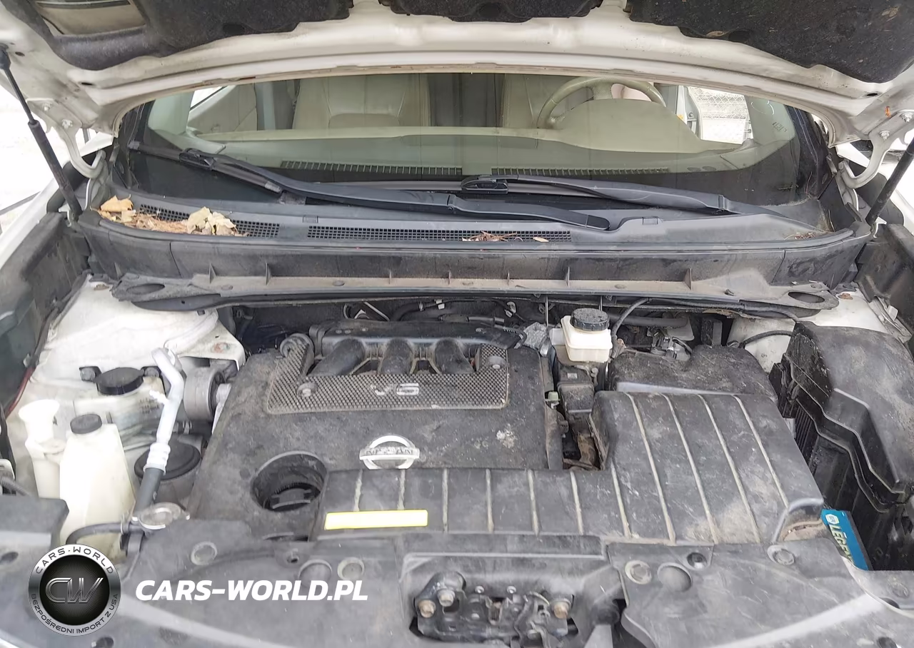 2009 Nissan Murano Sl VIN:JN8AZ18W59W152928 - 10