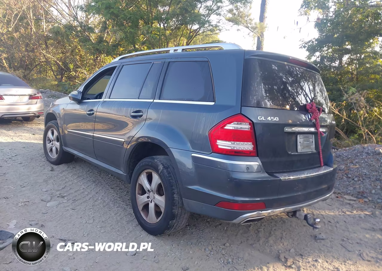 2010 Mercedes-Benz Gl 450 4Matic VIN:4JGBF7BE8AA574667 - 3