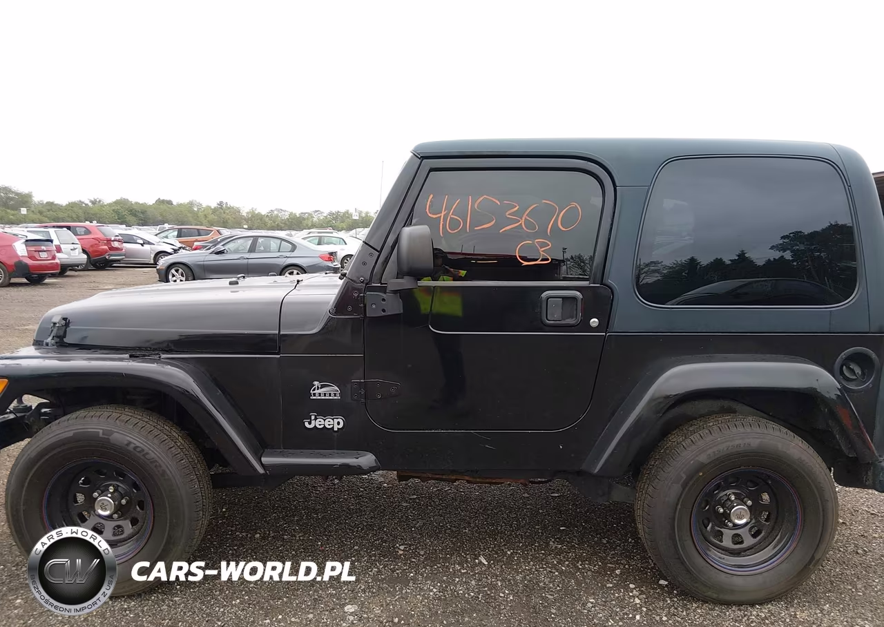 2003 Jeep Wrangler Sahara VIN:1J4FA59S93P322232 - 14