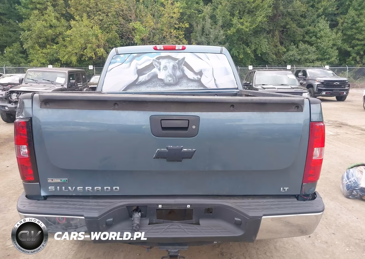 2010 Chevrolet Silverado 1500 Lt VIN:3GCRKSE34AG159990 - 16