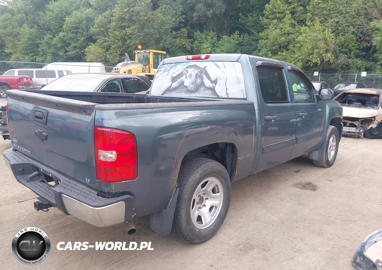 2010 Chevrolet Silverado 1500 Lt VIN:3GCRKSE34AG159990 - 4