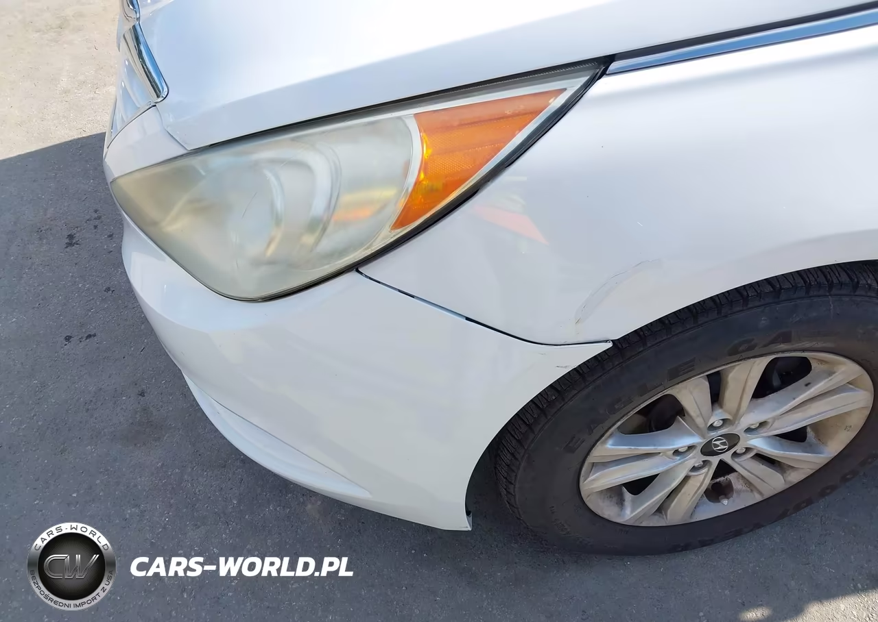 2011 Hyundai Sonata Gls VIN:5NPEB4AC7BH037231 - 18