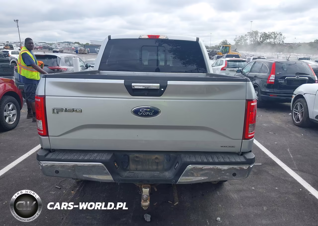 2016 Ford F-150 Xlt VIN:1FTEW1EF7GKD61716 - 17