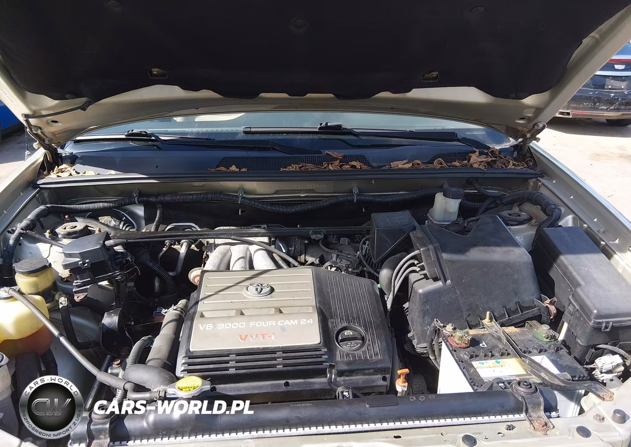 2003 Toyota Highlander V6 VIN:JTEHF21A830138924 - 10