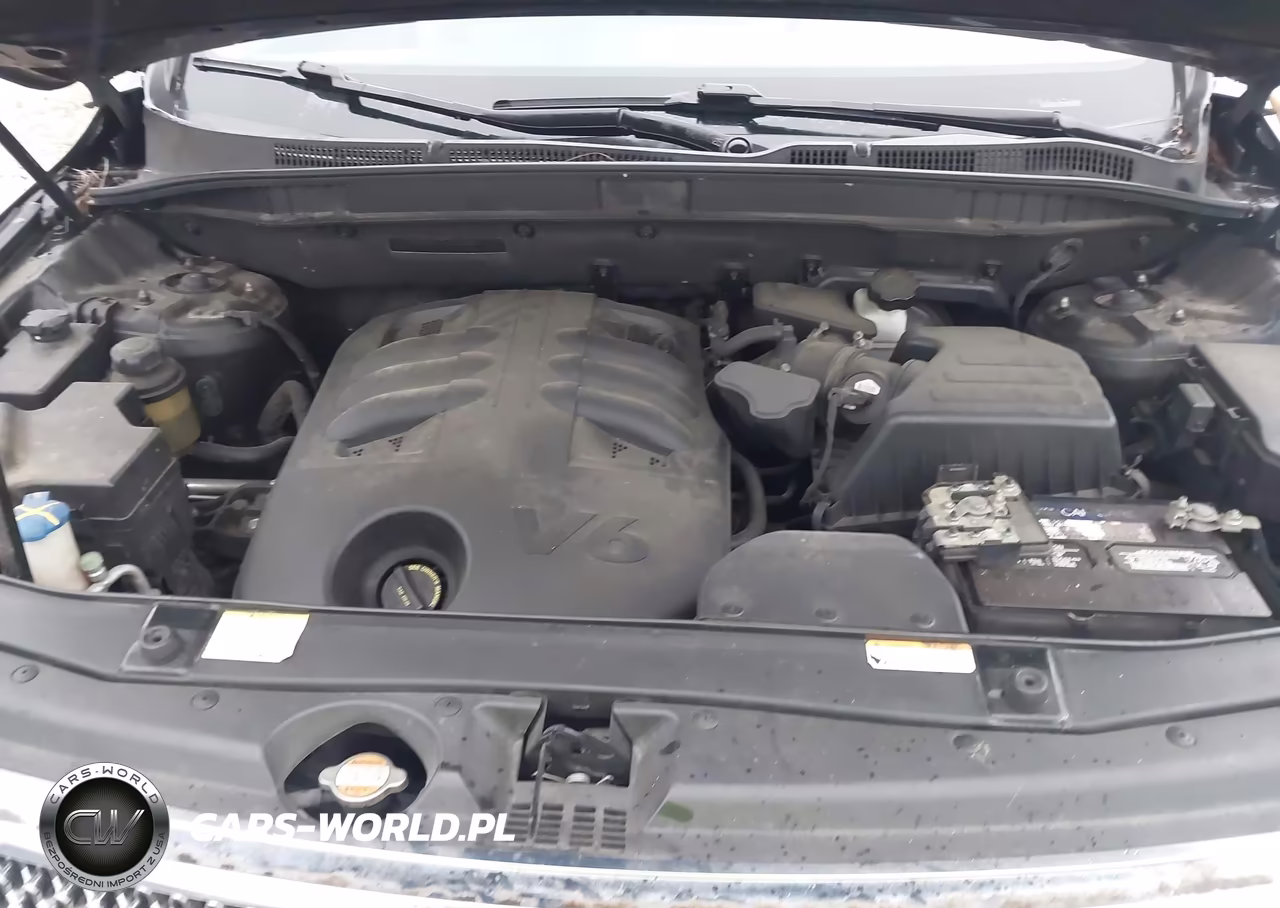 2010 Hyundai Veracruz Gls VIN:KM8NU4CC5AU118655 - 10