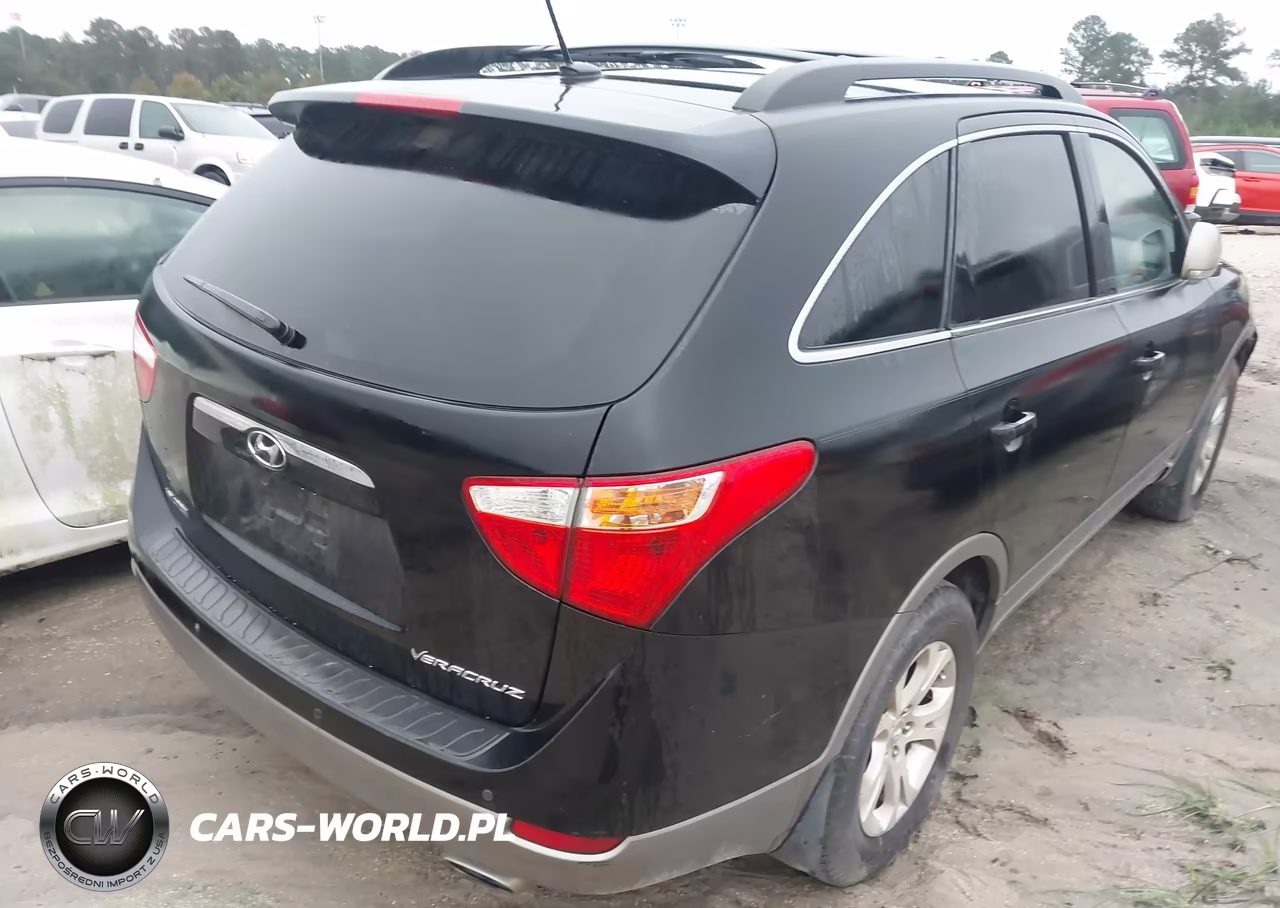 2010 Hyundai Veracruz Gls VIN:KM8NU4CC5AU118655 - 4